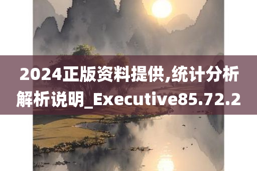 2024正版资料提供,统计分析解析说明_Executive85.72.20