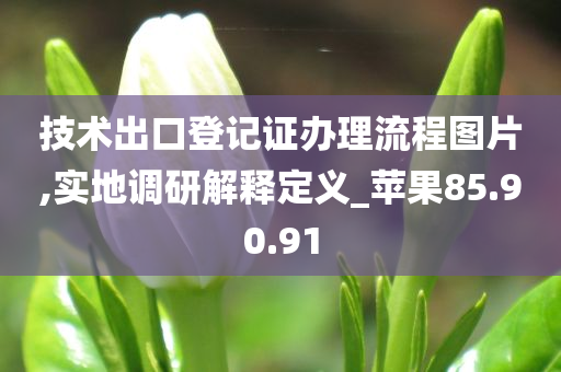 技术出口登记证办理流程图片,实地调研解释定义_苹果85.90.91