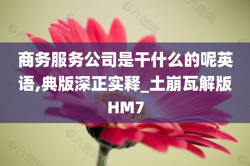 商务服务公司是干什么的呢英语,典版深正实释_土崩瓦解版HM7