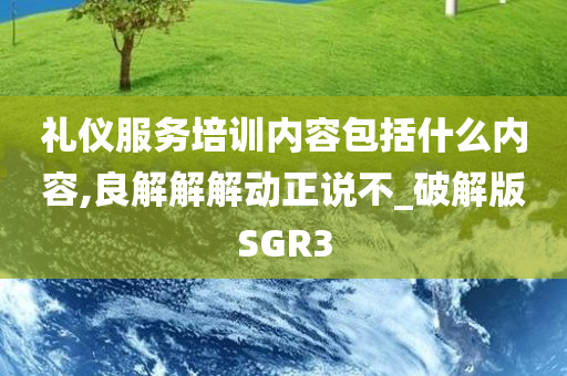 礼仪服务培训内容包括什么内容,良解解解动正说不_破解版SGR3