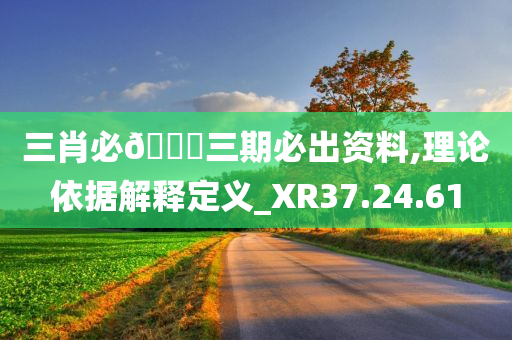 三肖必🀄三期必出资料,理论依据解释定义_XR37.24.61