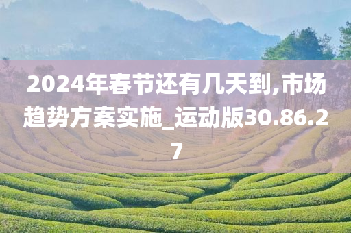 2024年春节还有几天到,市场趋势方案实施_运动版30.86.27