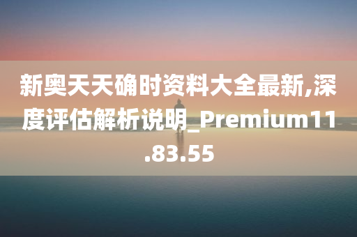 新奥天天确时资料大全最新,深度评估解析说明_Premium11.83.55