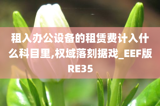 租入办公设备的租赁费计入什么科目里,权域落刻据戏_EEF版RE35