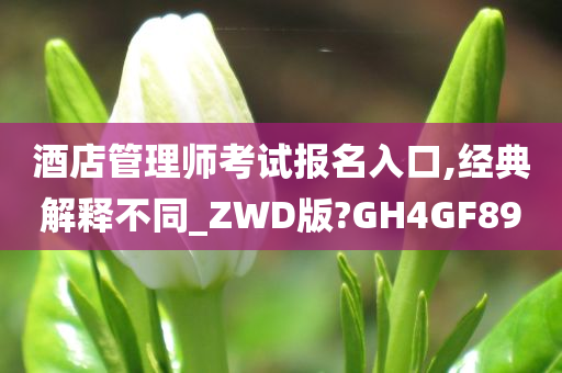 酒店管理师考试报名入口,经典解释不同_ZWD版?GH4GF89