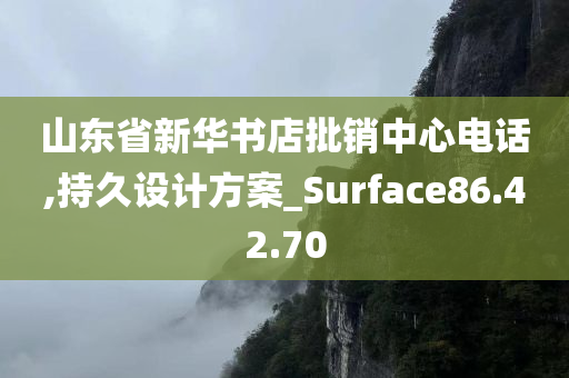 山东省新华书店批销中心电话,持久设计方案_Surface86.42.70