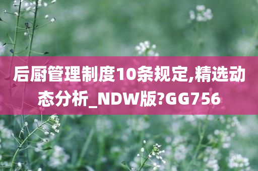 后厨管理制度10条规定,精选动态分析_NDW版?GG756