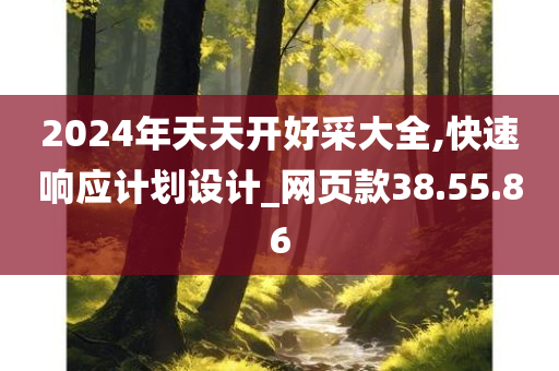 2024年天天开好采大全,快速响应计划设计_网页款38.55.86