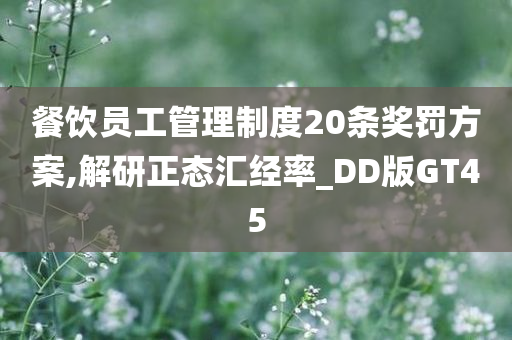 餐饮员工管理制度20条奖罚方案,解研正态汇经率_DD版GT45