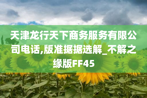 天津龙行天下商务服务有限公司电话,版准据据选解_不解之缘版FF45