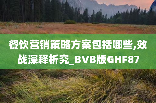 餐饮营销策略方案包括哪些,效战深释析究_BVB版GHF87