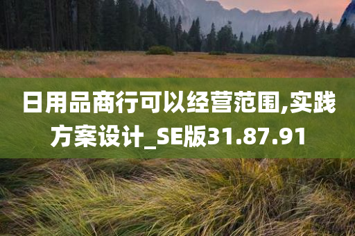 日用品商行可以经营范围,实践方案设计_SE版31.87.91