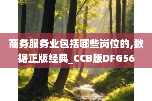 商务服务业包括哪些岗位的,数据正版经典_CCB版DFG56