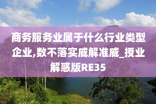 商务服务业属于什么行业类型企业,数不落实威解准威_授业解惑版RE35