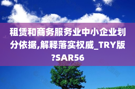 租赁和商务服务业中小企业划分依据,解释落实权威_TRY版?SAR56