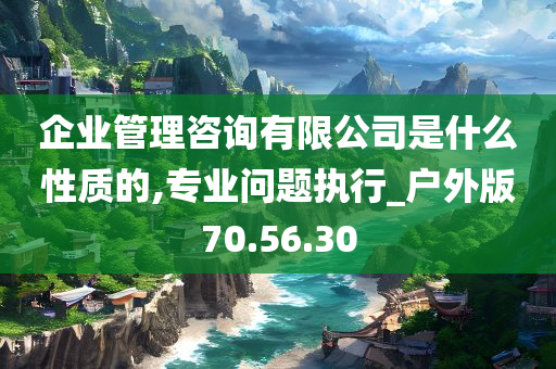 企业管理咨询有限公司是什么性质的,专业问题执行_户外版70.56.30