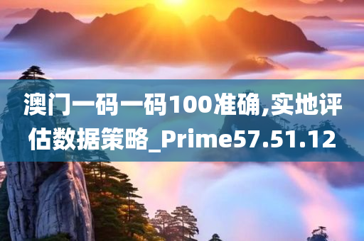 澳门一码一码100准确,实地评估数据策略_Prime57.51.12