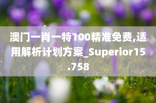 澳门一肖一特100精准免费,适用解析计划方案_Superior15.758