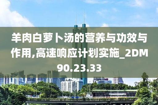 羊肉白萝卜汤的营养与功效与作用,高速响应计划实施_2DM90.23.33