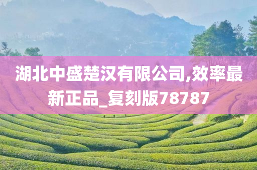 湖北中盛楚汉有限公司,效率最新正品_复刻版78787