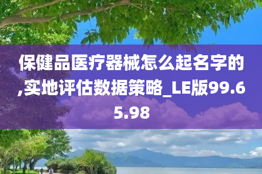 保健品医疗器械怎么起名字的,实地评估数据策略_LE版99.65.98