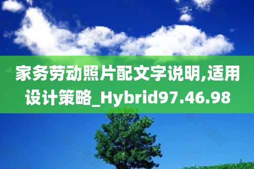 家务劳动照片配文字说明,适用设计策略_Hybrid97.46.98