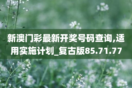 新澳门彩最新开奖号码查询,适用实施计划_复古版85.71.77