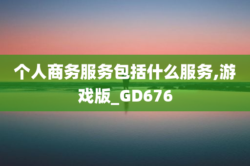 个人商务服务包括什么服务,游戏版_GD676