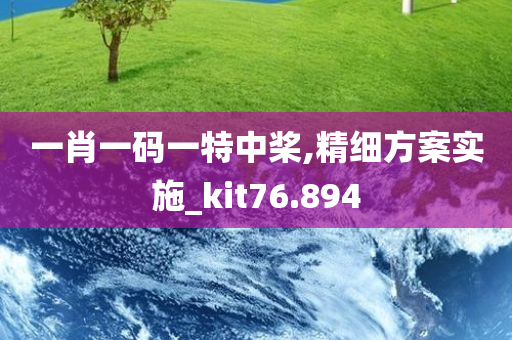 一肖一码一特中桨,精细方案实施_kit76.894