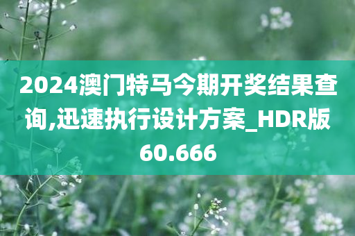 2024澳门特马今期开奖结果查询,迅速执行设计方案_HDR版60.666