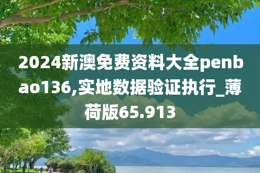 2024新澳免费资料大全penbao136,实地数据验证执行_薄荷版65.913