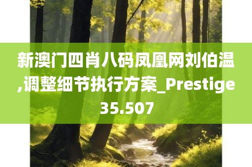 新澳门四肖八码凤凰网刘伯温,调整细节执行方案_Prestige35.507