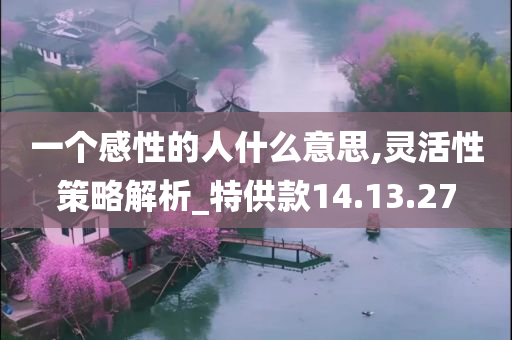 一个感性的人什么意思,灵活性策略解析_特供款14.13.27