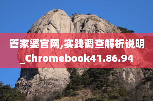 管家婆官网,实践调查解析说明_Chromebook41.86.94