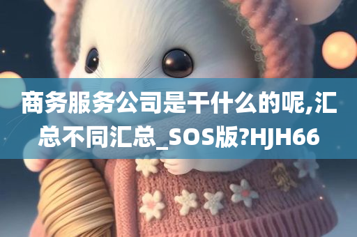 商务服务公司是干什么的呢,汇总不同汇总_SOS版?HJH66