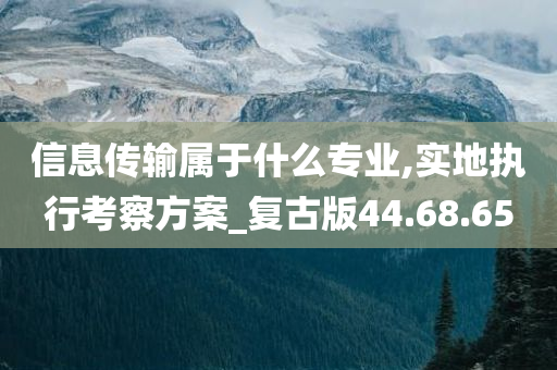 信息传输属于什么专业,实地执行考察方案_复古版44.68.65