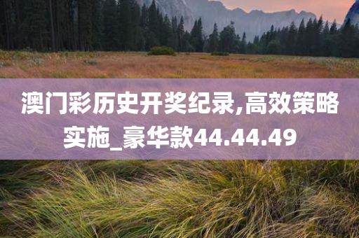 澳门彩历史开奖纪录,高效策略实施_豪华款44.44.49