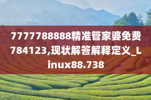 7777788888精准管家婆免费784123,现状解答解释定义_Linux88.738