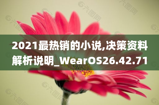 2021最热销的小说,决策资料解析说明_WearOS26.42.71