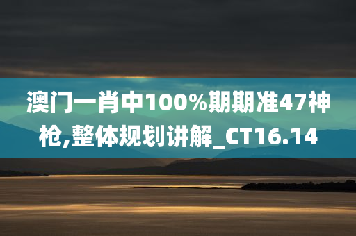 澳门一肖中100%期期准47神枪,整体规划讲解_CT16.14