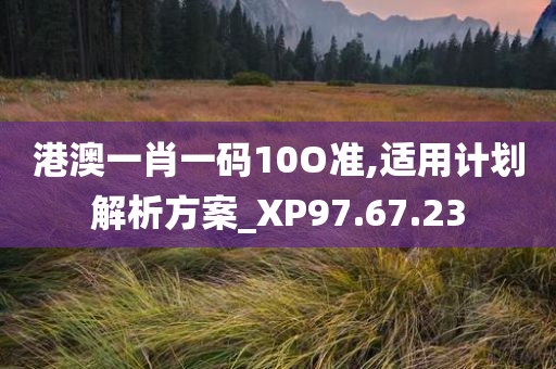 港澳一肖一码10O准,适用计划解析方案_XP97.67.23