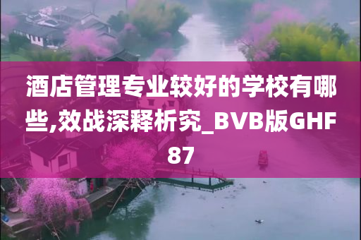 酒店管理专业较好的学校有哪些,效战深释析究_BVB版GHF87