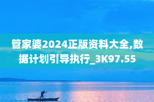 管家婆2024正版资料大全,数据计划引导执行_3K97.55