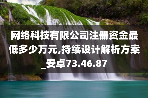 网络科技有限公司注册资金最低多少万元,持续设计解析方案_安卓73.46.87