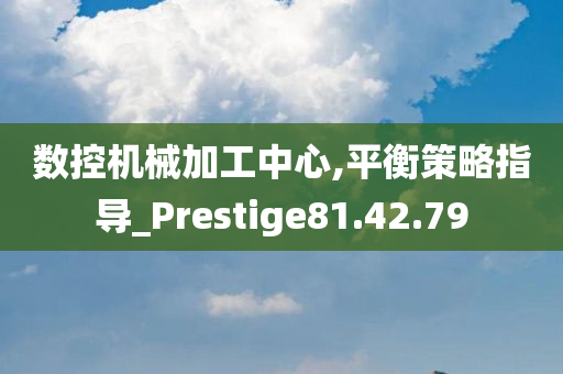 数控机械加工中心,平衡策略指导_Prestige81.42.79