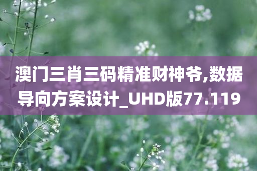 澳门三肖三码精准财神爷,数据导向方案设计_UHD版77.119