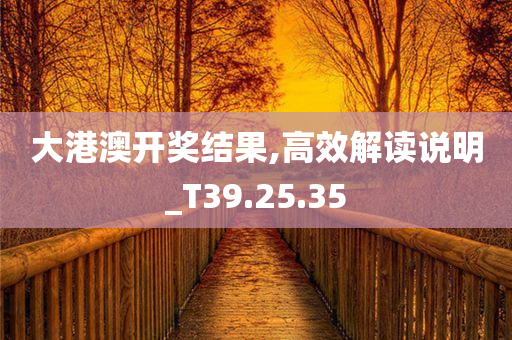 大港澳开奖结果,高效解读说明_T39.25.35