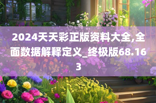 2024天天彩正版资料大全,全面数据解释定义_终极版68.163