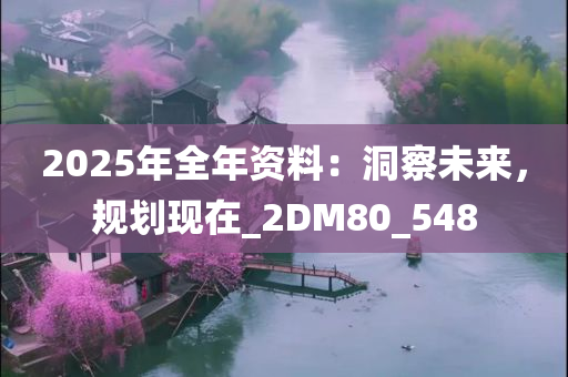 2025年全年资料：洞察未来，规划现在_2DM80_548