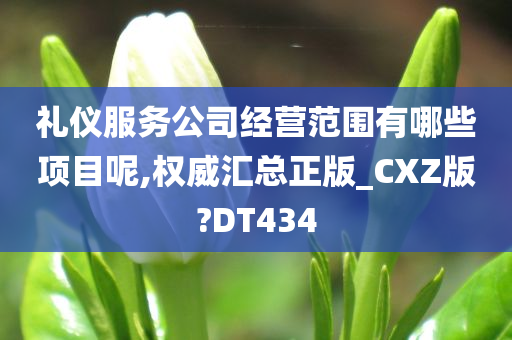 礼仪服务公司经营范围有哪些项目呢,权威汇总正版_CXZ版?DT434